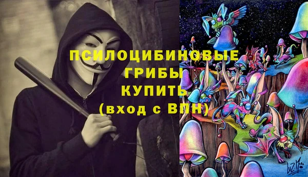 круглые Белокуриха